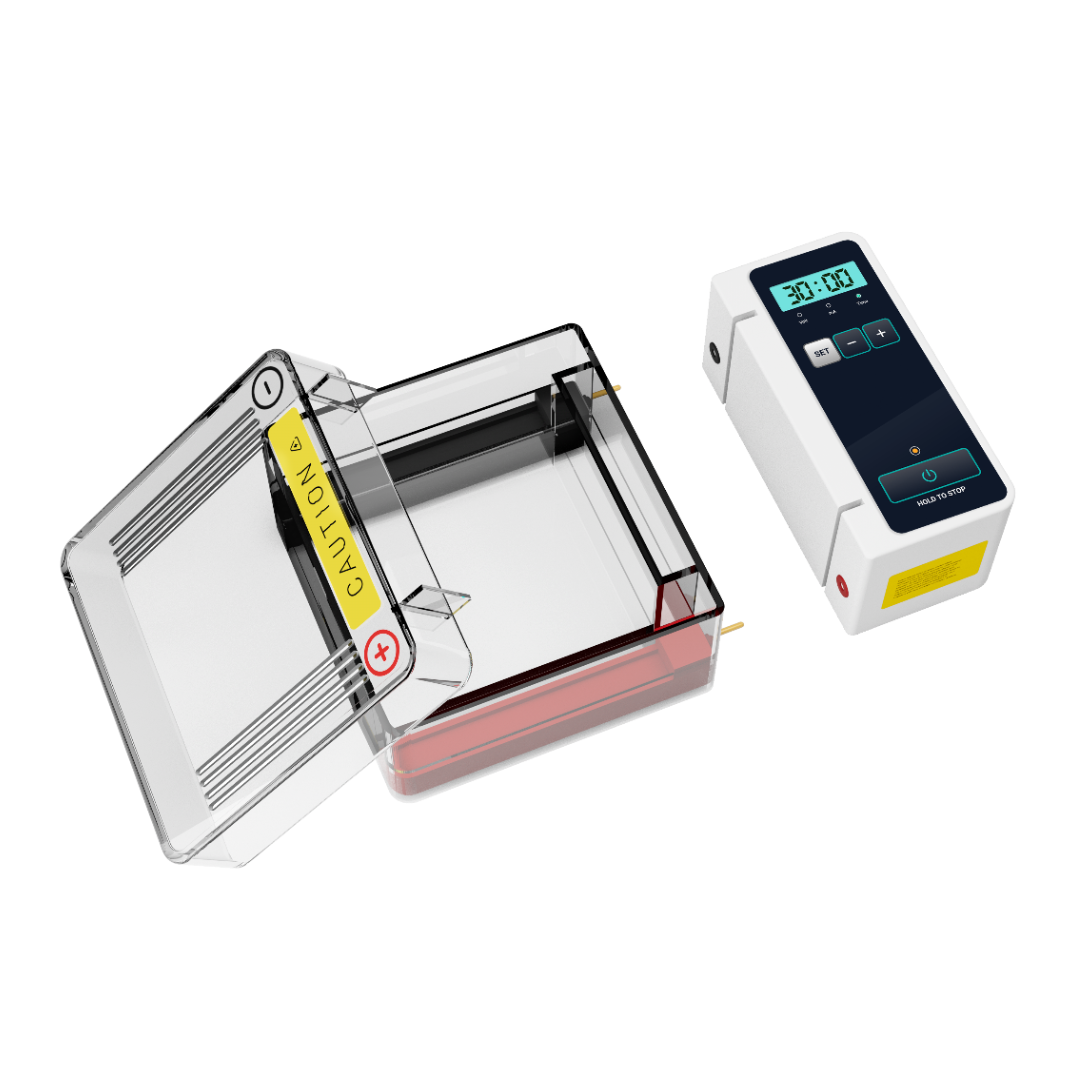 Horizontal Gel Electrophoresis System EP150H